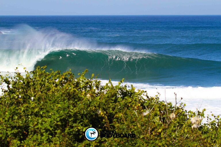 PROJETO: VIDA DE UM BODYBOARDER