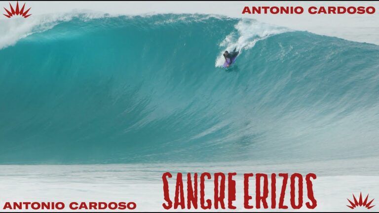 Antonio Cardoso – Sangre Erizos
